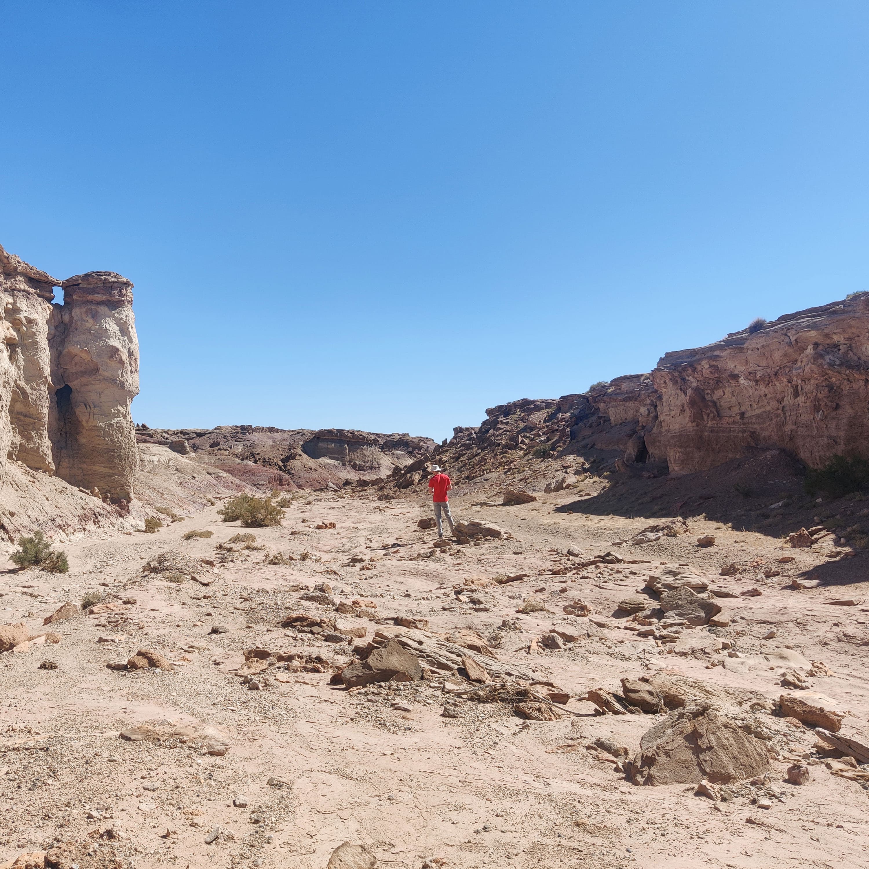 hanksville dino dig. we don't have land like this on the east coast, lol