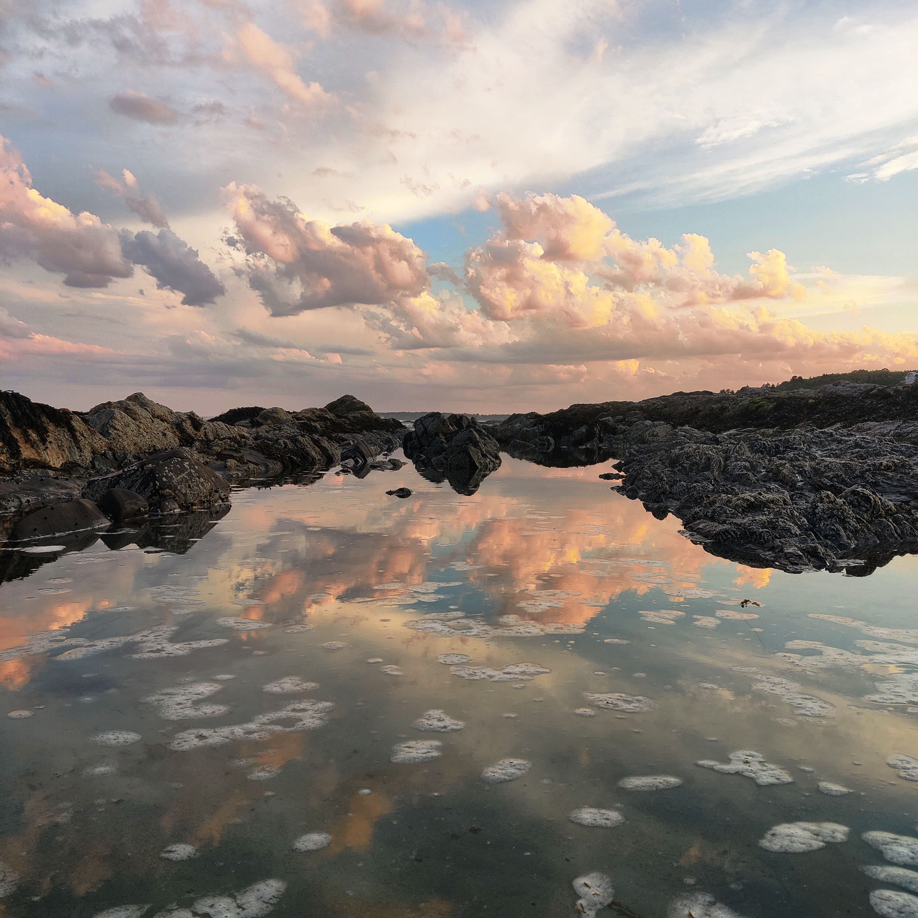 a tide pool on higgins beach, near my family's house in maine