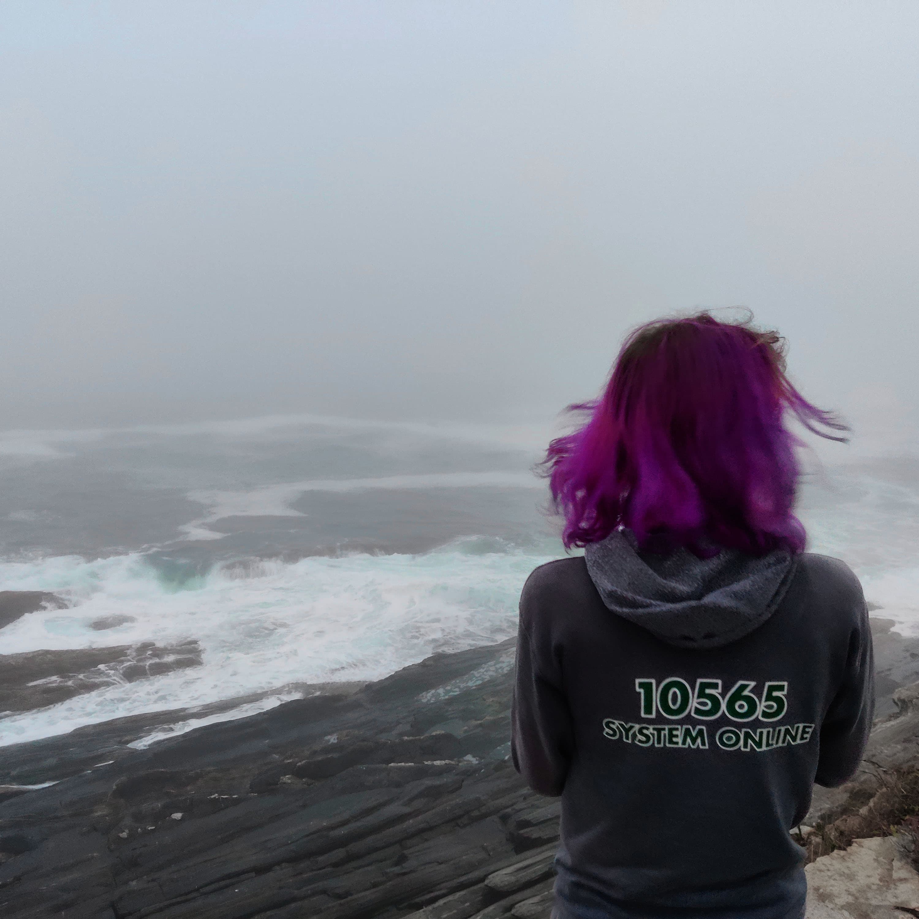 quartz facing the rocks and the ocean at pemaquid point