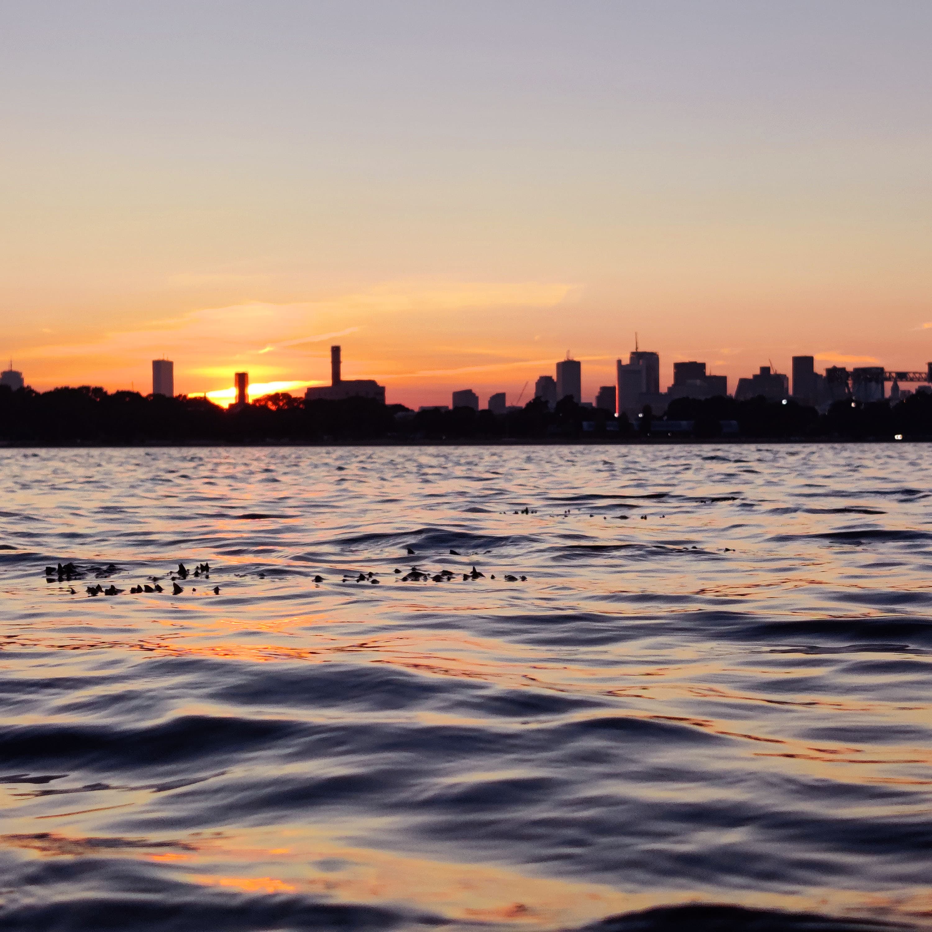 the sunset viewed over rough water past the boston skyline